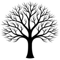 Branching Pattern of a Tree Silhouetted Against a Plain Background vector