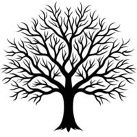 Tree Branching Pattern Silhouetted Against Sky vector