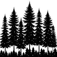 Dense Forest of Pine Trees Silhouetted in Light Mist vector