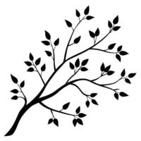 Tree Branch with Tiny Delicate Leaves Silhouetted vector