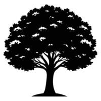 Large Leafy Tree Silhouetted with a Spreading Canopy vector
