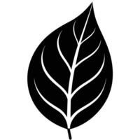 Leaf Silhouette with Rounded Shape and No Stem vector