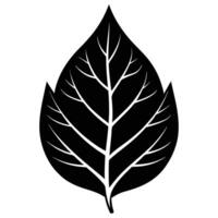 Leaf Silhouette with Simple and Clean Outline vector