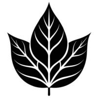 Leaf Silhouette with Symmetrical Design vector