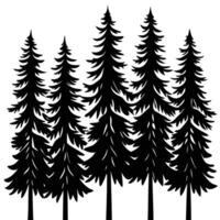 Group of Tall Pine Trees in a Dense Forest vector
