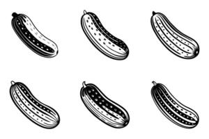 Cucumber silhouette icon set is isolated with flat outline illustration vector