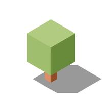 Isometric tree. Tree isometric elements. Isometric tree element for landscape design. Park element vector
