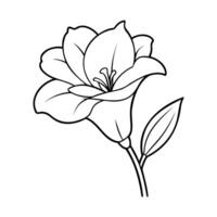 Black and white line drawing of a freesia flower with a stem and leaf vector