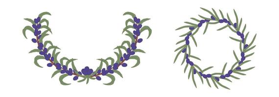 Olive branches and berries forming decorative half circle and circle borders, creating a natural and elegant design vector