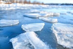 Ice cubes floating on the surface of a lake photo
