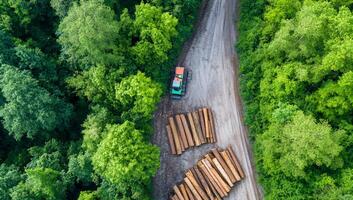 An aerial view of a truck driving through a forest photo