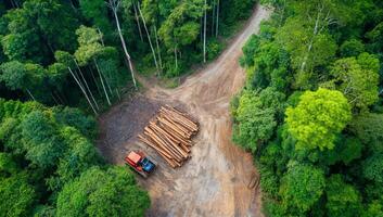 An aerial view of a logging truck in the forest photo