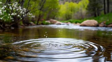 A water rippling in a stream with rocks and trees photo
