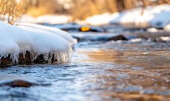 A stream with ice on it in the snow photo
