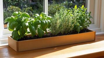A wooden box with herbs in it on a window sill photo