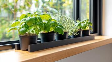 A window sill with potted herbs photo