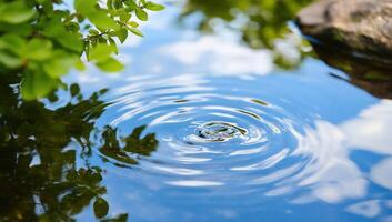 A ripple in a pond with a tree in the background photo
