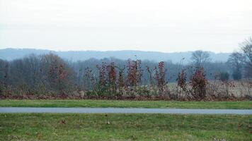 The valley Forge view with the meadows and woods in the USA photo