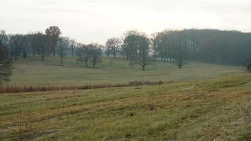 The valley Forge view with the meadows and woods in the USA photo