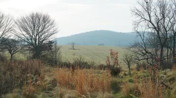 The valley Forge view with the meadows and woods in the USA photo