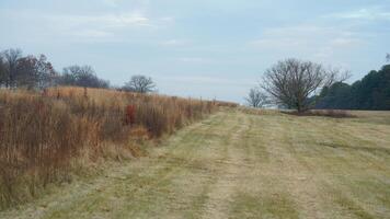 The valley Forge view with the meadows and woods in the USA photo