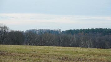 The valley Forge view with the meadows and woods in the USA photo