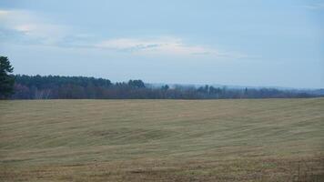 The valley Forge view with the meadows and woods in the USA photo