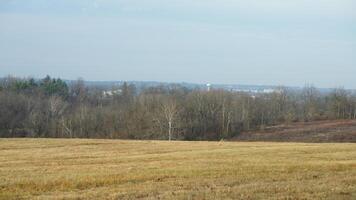 The valley Forge view with the meadows and woods in the USA photo