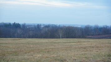The valley Forge view with the meadows and woods in the USA photo