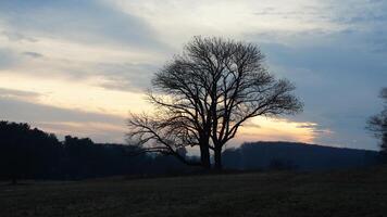 The valley Forge view with the meadows and woods in the USA photo