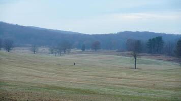 The valley Forge view with the meadows and woods in the USA photo