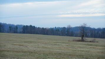 The valley Forge view with the meadows and woods in the USA photo