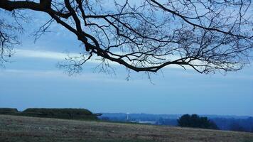 The valley Forge view with the meadows and woods in the USA photo