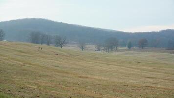 The valley Forge view with the meadows and woods in the USA photo