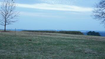 The valley Forge view with the meadows and woods in the USA photo