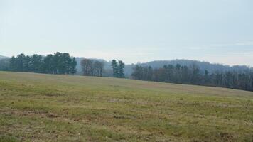 The valley Forge view with the meadows and woods in the USA photo