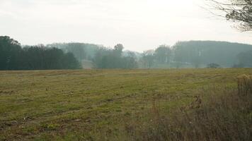 The valley Forge view with the meadows and woods in the USA photo