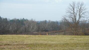 The valley Forge view with the meadows and woods in the USA photo