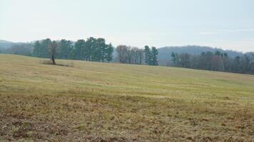 The valley Forge view with the meadows and woods in the USA photo