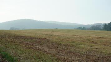 The valley Forge view with the meadows and woods in the USA photo