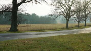 The valley Forge view with the meadows and woods in the USA photo