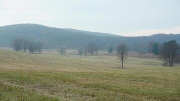 The valley Forge view with the meadows and woods in the USA photo