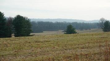 The valley Forge view with the meadows and woods in the USA photo