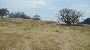The valley Forge view with the meadows and woods in the USA photo