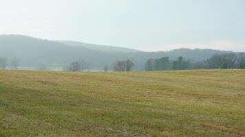 The valley Forge view with the meadows and woods in the USA photo