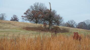 The valley Forge view with the meadows and woods in the USA photo