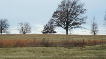 The valley Forge view with the meadows and woods in the USA photo