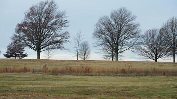 The valley Forge view with the meadows and woods in the USA photo