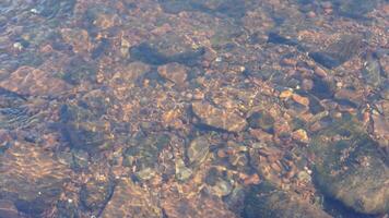 The clear water flow in the river photo