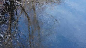 The forest landscape with one river running in the valley in winter photo